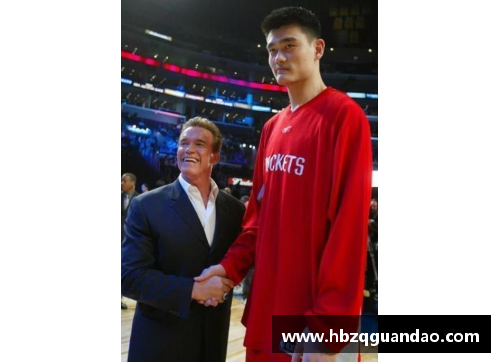 体育明星与娱乐明星谁更具影响力和魅力分析