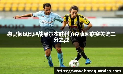 zoty中欧惠灵顿凤凰迎战黑尔本胜利争夺澳超联赛关键三分之战