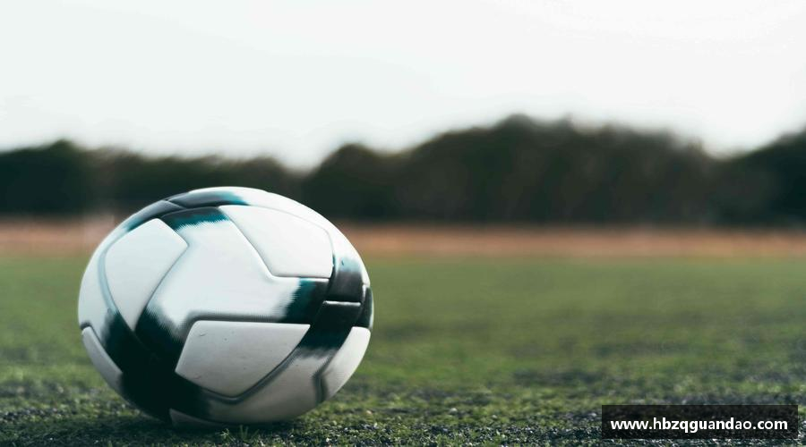 zoty中欧官方网站实时比分，互动弹幕，直播乐趣无穷！📱🎉